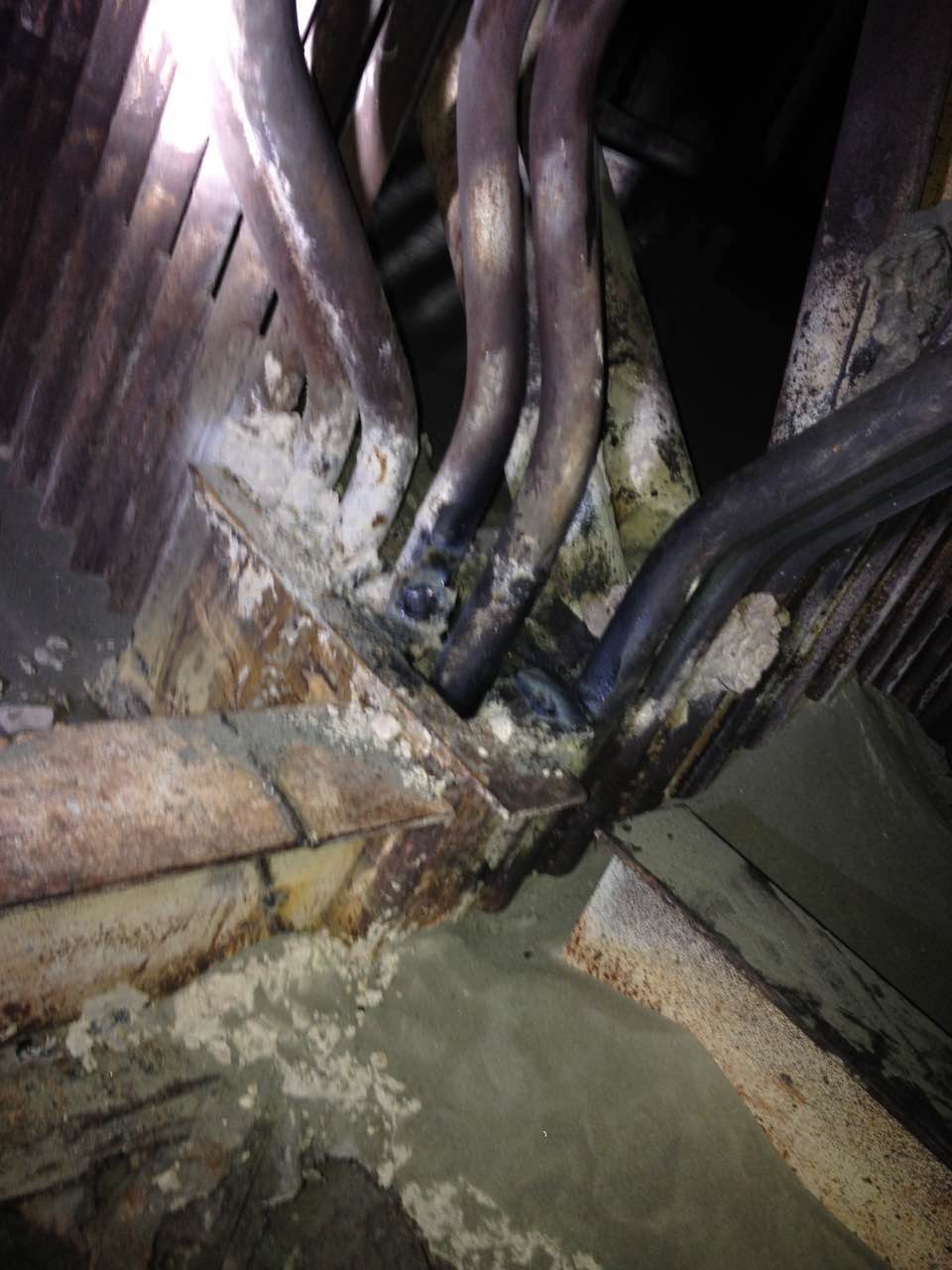 1512867963702496.jpg 447322199306293626.jpg