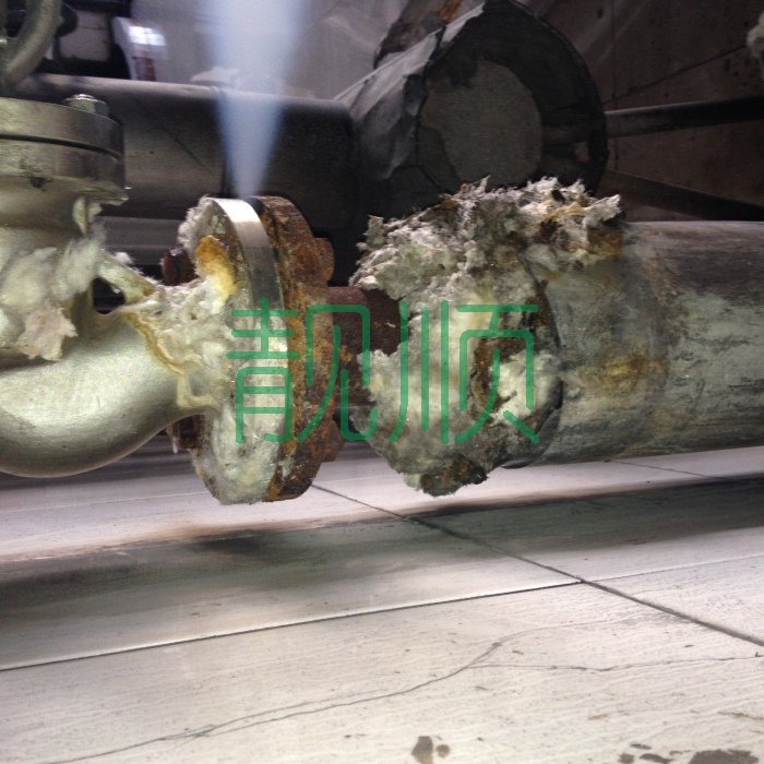 側(cè)輔汽手動總門門前法蘭